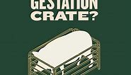 Gestation Crate Free - Greenfield Natural Meat Co. ™