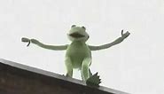 kermit the frog falling off the roof