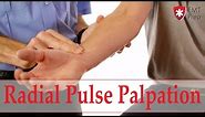 How to Obtain a Radial Pulse - EMTprep.com