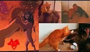 Cats recreating epic fight scene from The Lion king (Simba VS Scar)
