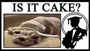 Why Is Everything Cake?