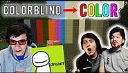 Minecraft through the eyes of GeorgeNotFound (Dream | Reaction | Colorblind Glasses)