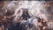 Zoom into the Tarantula Nebula