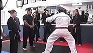 Frank Dux teaching Dux Ryu Ninjutsu part 2