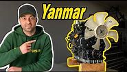 Yanmar 3TNV82A Engine Rebuild - 3 Cylinder Diesel #yanmar