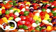 Jelly Beans | How It's Made