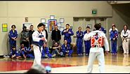 Master v. master taekwondo sparring