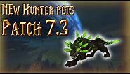 NEW HUNTER PETS IN 7.3│Panthara and more│World of Warcraft Legion