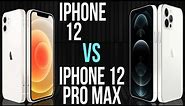 iPhone 12 vs iPhone 12 Pro Max (Comparativo)