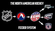 The North American Professional Hockey Feeder System