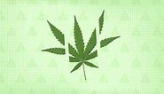 Cannabis Side Effects: Everything You Need to Know - GoodRx