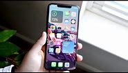 iPhone XS Max In 2021! (Still Worth It?) (Review)