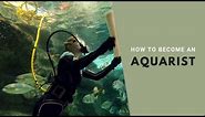 How to Become an Aquarist - Careers in Scuba Diving