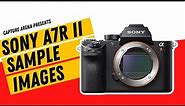 Sony A7R II (4K) Sample Images w/ Camera Settings (2023)