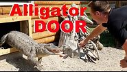 I Built My Alligators Doors To Go Outside!