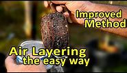 Air layering trees - Clone your fruit trees the easy way.