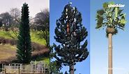Why Cell Phone Towers Turned Into Fake Trees