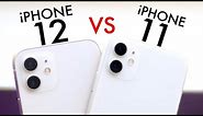 iPhone 12 Vs iPhone 11 CAMERA TEST! (Photo / Video Comparison)