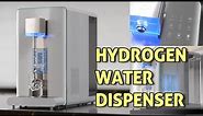 Hydrogen Water Dispenser | Video display of Olansi W19