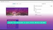 How to insert a GIF into Mailchimp | Tutorial Tuesday with Nora