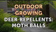 Deer Repellents: Moth Balls