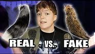 REAL FUR TAILS vs. FAUX FUR TAILS - How to tell the difference | Therianthropy