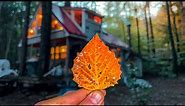 First Day of Fall 🍂 Autumn Overnight at Off Grid Riverside Cabin 🍁 Fall Foliage Adventures
