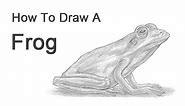 How to Draw a Frog (American Green Tree Frog)