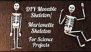 How to make movable Skeleton Model/ DIY Marionette Skeleton/Easy way to make Skeleton Model at Home