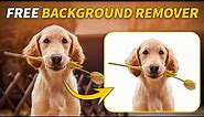 Top 11 Free Background Remover Websites in 2024