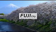 Fuji City, Japan in 8K - 富士市