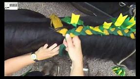 Heavy Horse Decorations braiding a Shire Horse mane with Mandy Ward