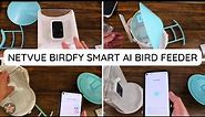 How to setup Netvue Birdfy Smart Ai Bird Feeder