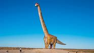 What Was The Largest Animal To Ever Walk The Earth?