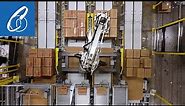 Robotic Palletizing Systems for Processing and Manufacturing Facilities