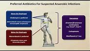 Antibiotics for Anaerobic Infections (Antibiotics - Lecture 6)
