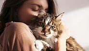 60  Cat Love Quotes All Feline Fans Will Understand | LoveToKnow Pets
