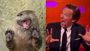 Benedict Cumberbatch Looks Like An Otter | The Graham Norton Show