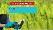 Power of Fluroxypyr-meptyl: A Synthetic Auxin Herbicide