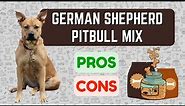 German Shepherd Pitbull Mix: PRO'S & CON'S!
