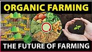 Importance of Organic Farming | What is Organic Farming | Sustainable Agriculture