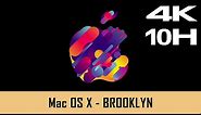 Mac OS X Screensaver - BROOKLYN - 10 Hours (4K) RELEASED 2019