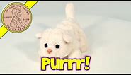 Hasbro FurReal Friends Small Kitty Cat Plush Kitten Toy