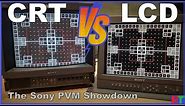 CRT VS LCD - Sony PVM Trinitron & LMD Face-off! | Retro Tech