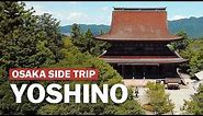 Osaka Side Trip to Yoshino in Nara | japan-guide.com
