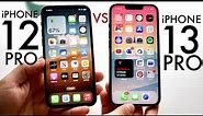 iPhone 13 Pro Vs iPhone 12 Pro In 2023! (Comparison) (Review)