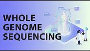 Getting Started with Whole Genome Sequencing - #ResearchersAtWork Webinar Series