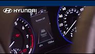 Instrument Cluster Display Features and User Settings I Hyundai