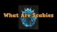★★★ What Are Scabies, How To Treat Scabies In Your Scalp, Natural Scabies Treatment, Scabies Curable