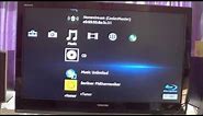 Sony BDP-S390 Blu-ray Player On-screen Menu Settings